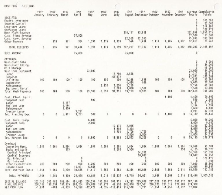 Pro Forma Financials and Small Business Development